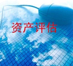 無形資產(chǎn)評(píng)估